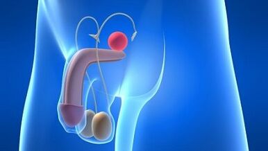 Määrimine meestel põnevuse ajal, mis see on