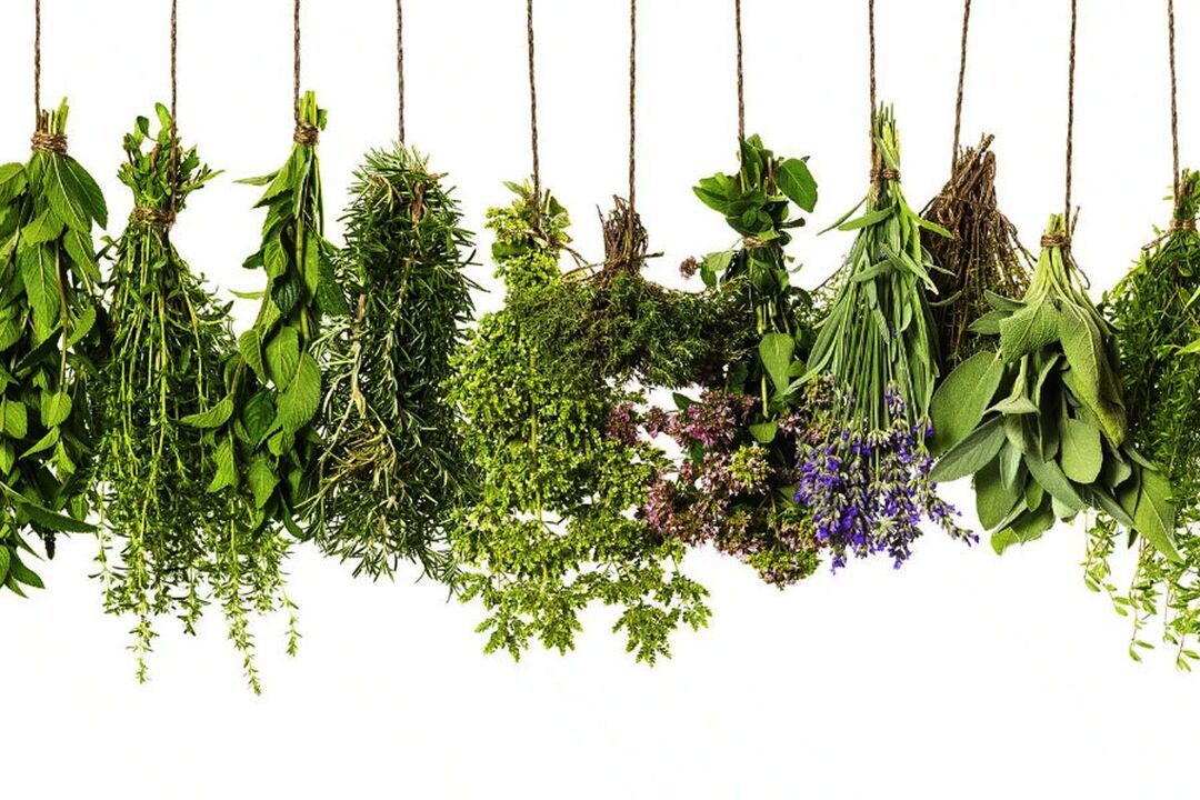 troopiliste ürtide ekstrakt Eroboostis